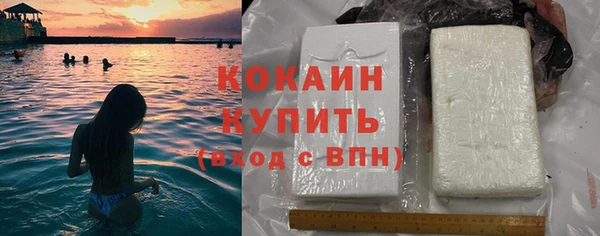 гашик Корсаков