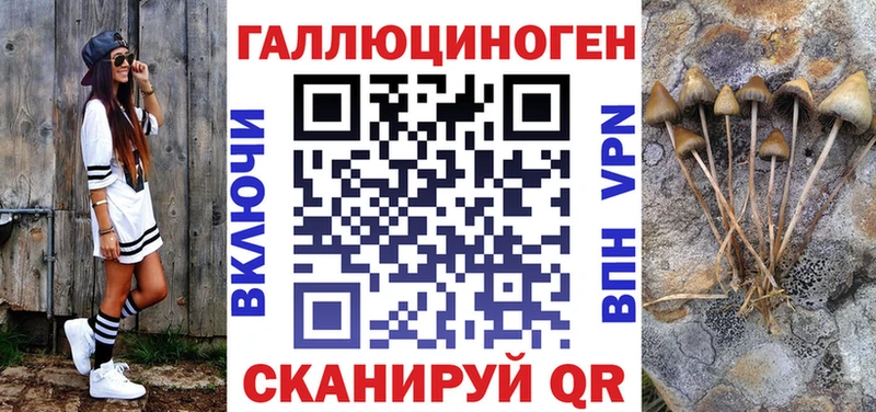 дарк нет клад  Вязьма  Псилоцибиновые грибы Cubensis  закладка 