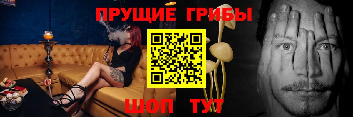 Галлюциногенные грибы Magic Shrooms  где найти   Вход с VPN  Вязьма  Псилоцибиновые грибы ЛСД 